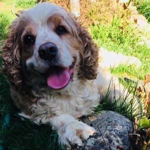 Meet your Posher, Corinne